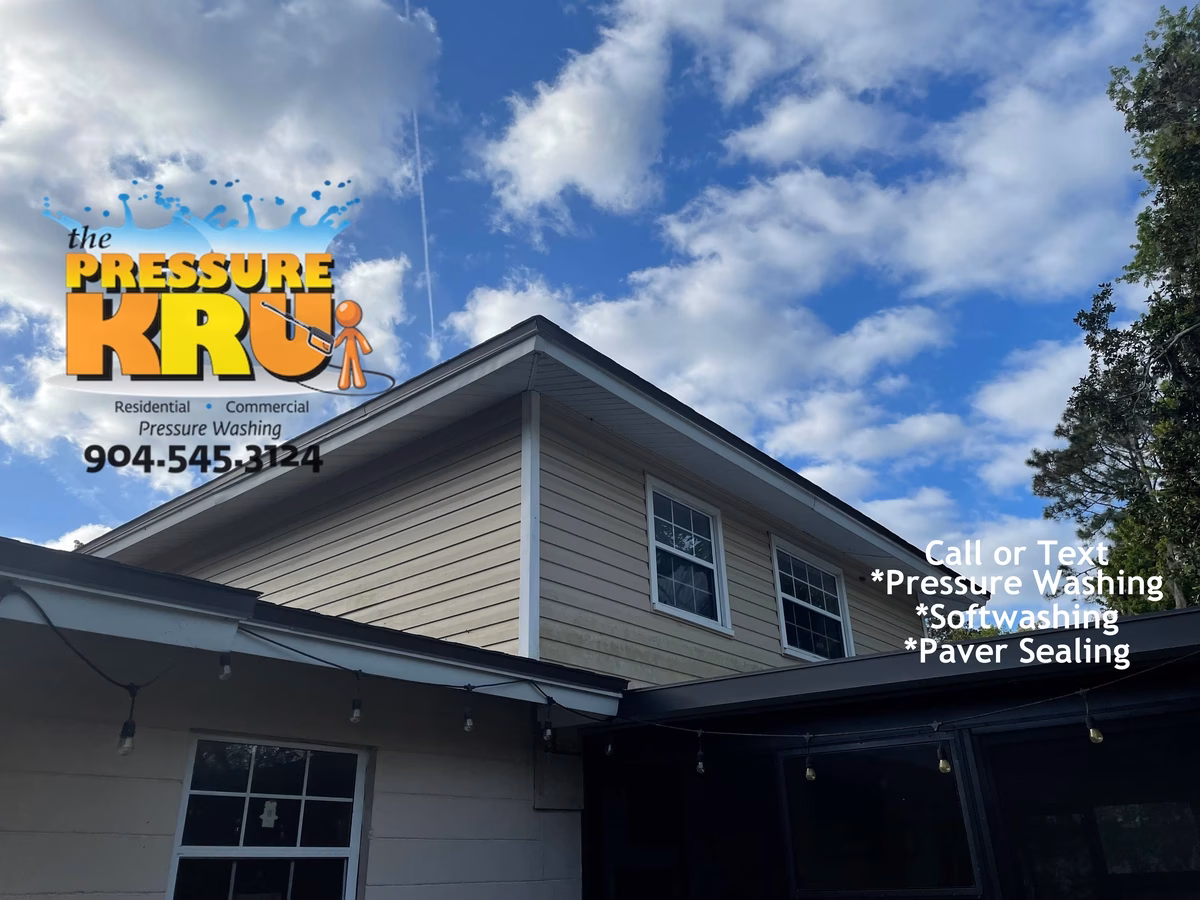 Softwashing vinyl siding before removing organic growth in Orange Park FL