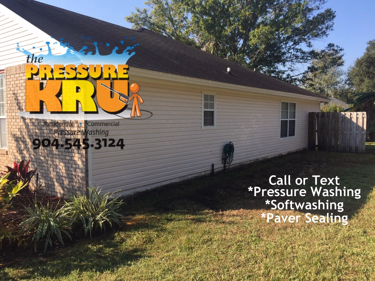 after algae removal from vinyl siding home in Mandarin neighborhood.