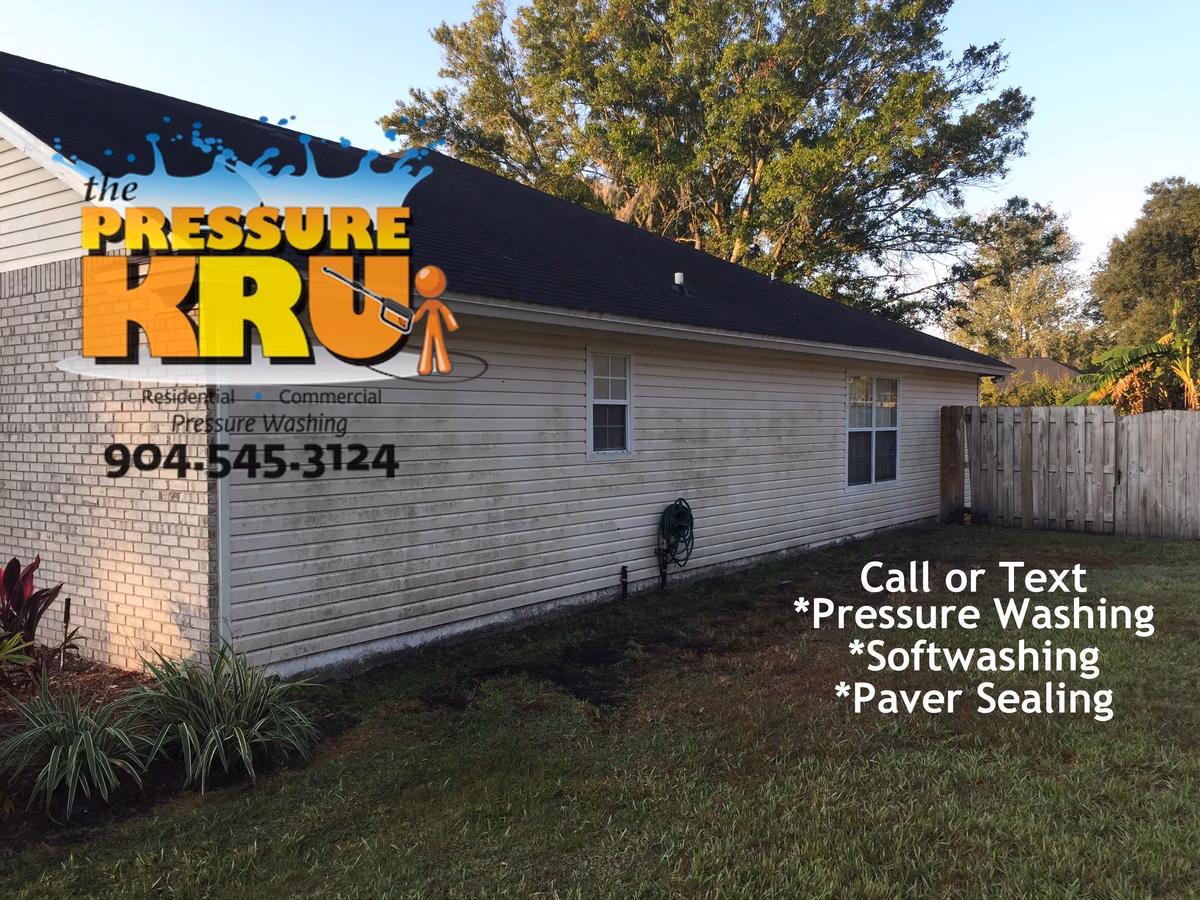 Before algae removal from vinyl siding home in Mandarin neighborhood.