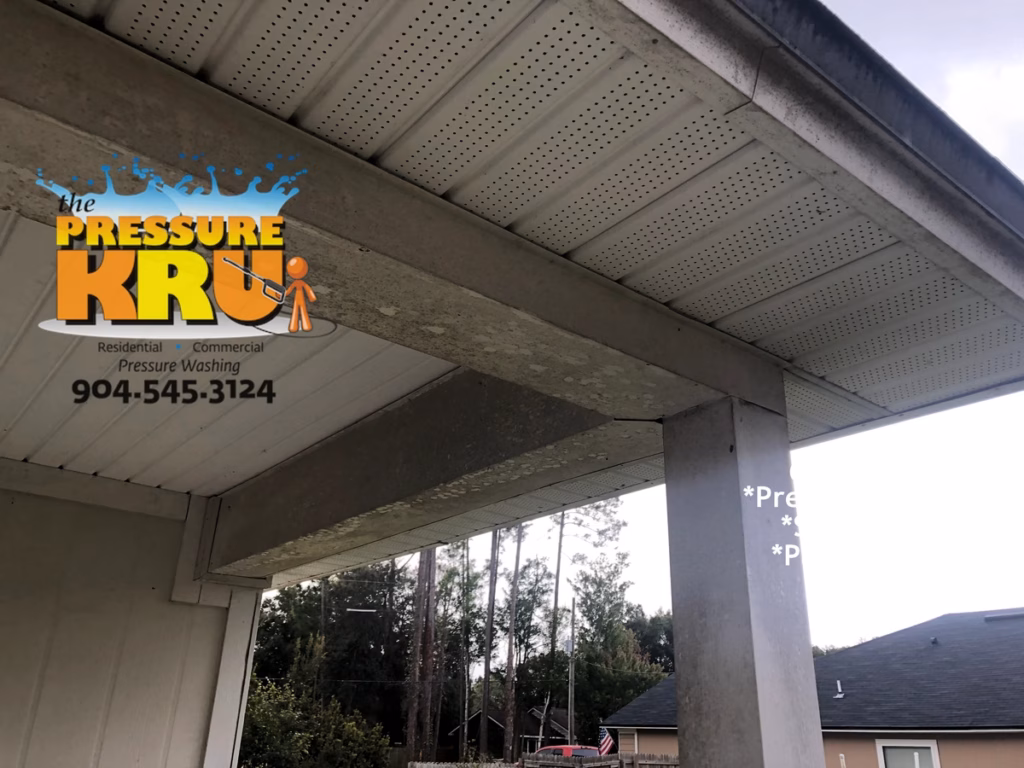 Before exterior cleaning a cement board home with vinyl trim in Mandarin, Jacksonville, FL