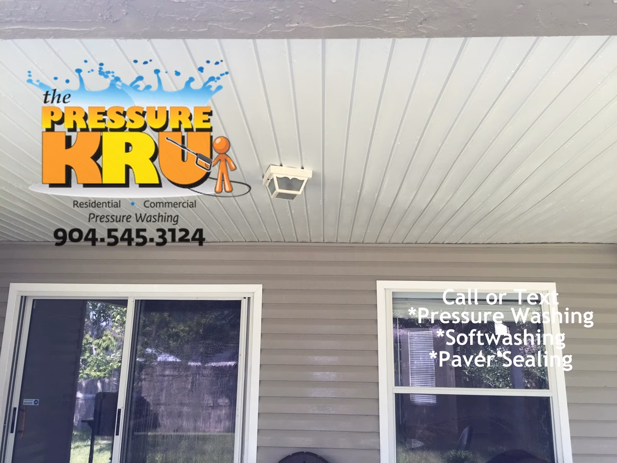 Professional vinyl siding cleaning removing mildew and dead bugs from a World Golf Village home after soft washing