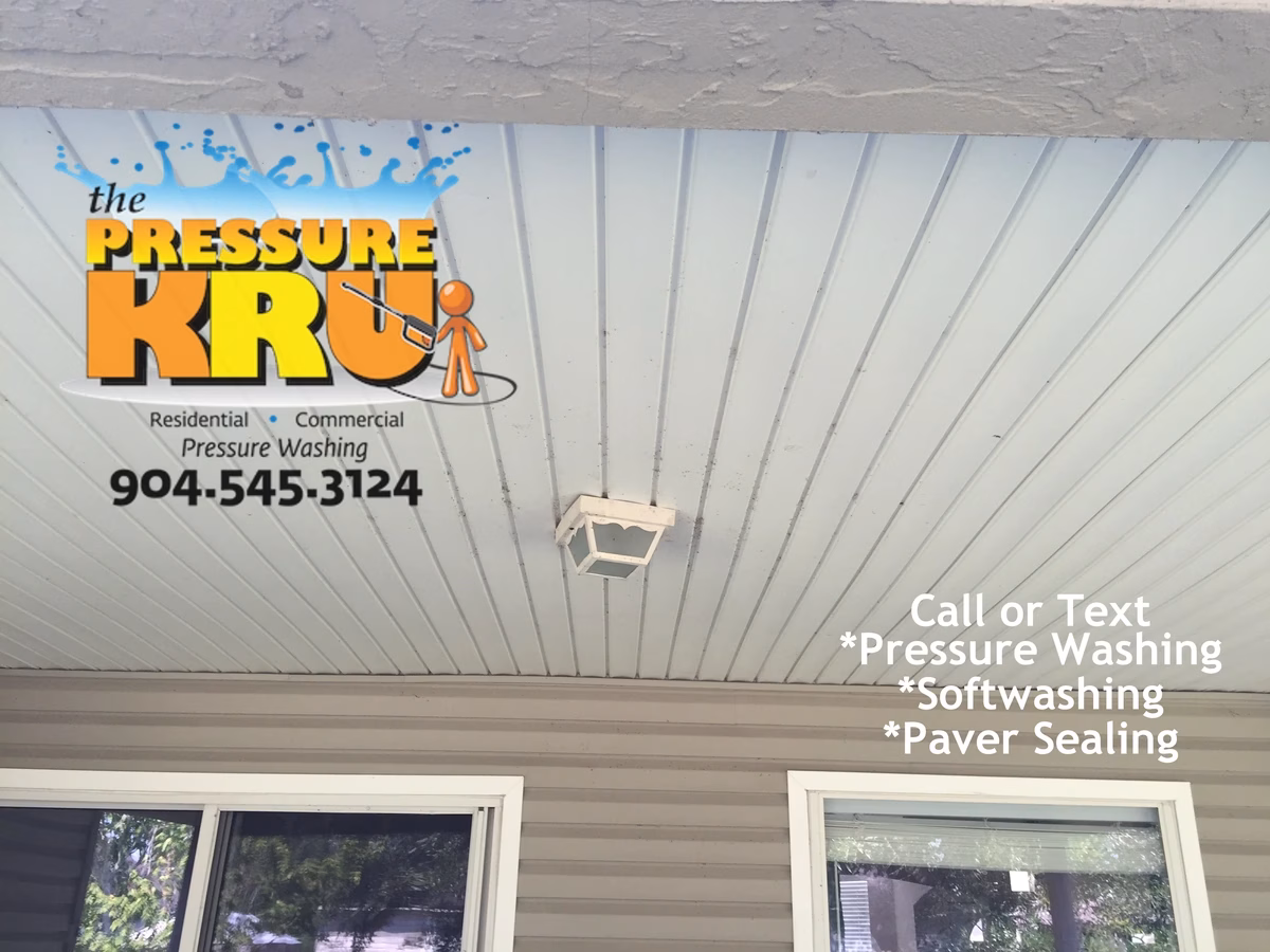 Professional vinyl siding cleaning removing mildew and dead bugs from a World Golf Village home before soft washing