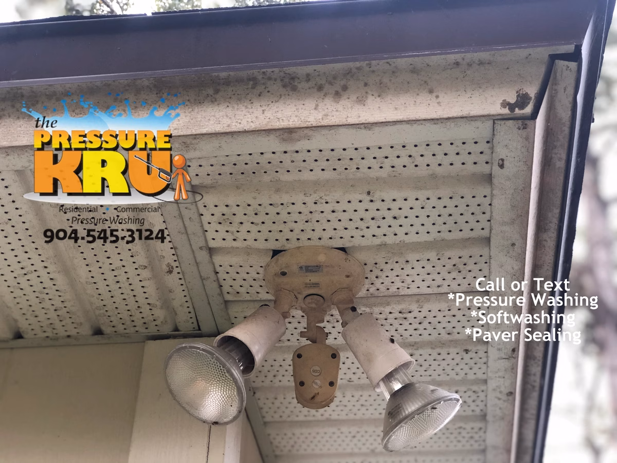 Professional house washing removes algae from siding and vinyl in Sawgrass neighborhood.