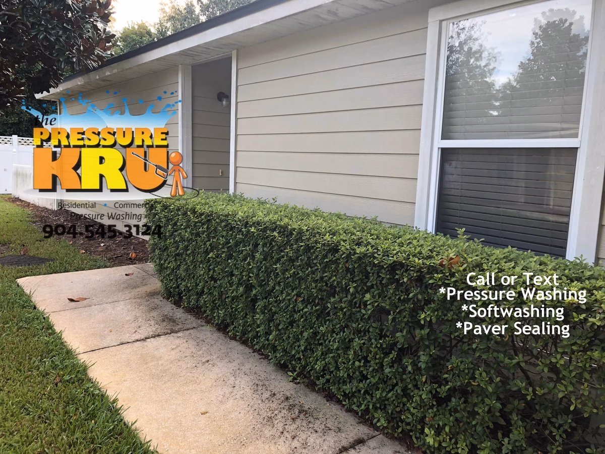Before exterior cleaning South Bridge neighborhood near Race Track Rd.