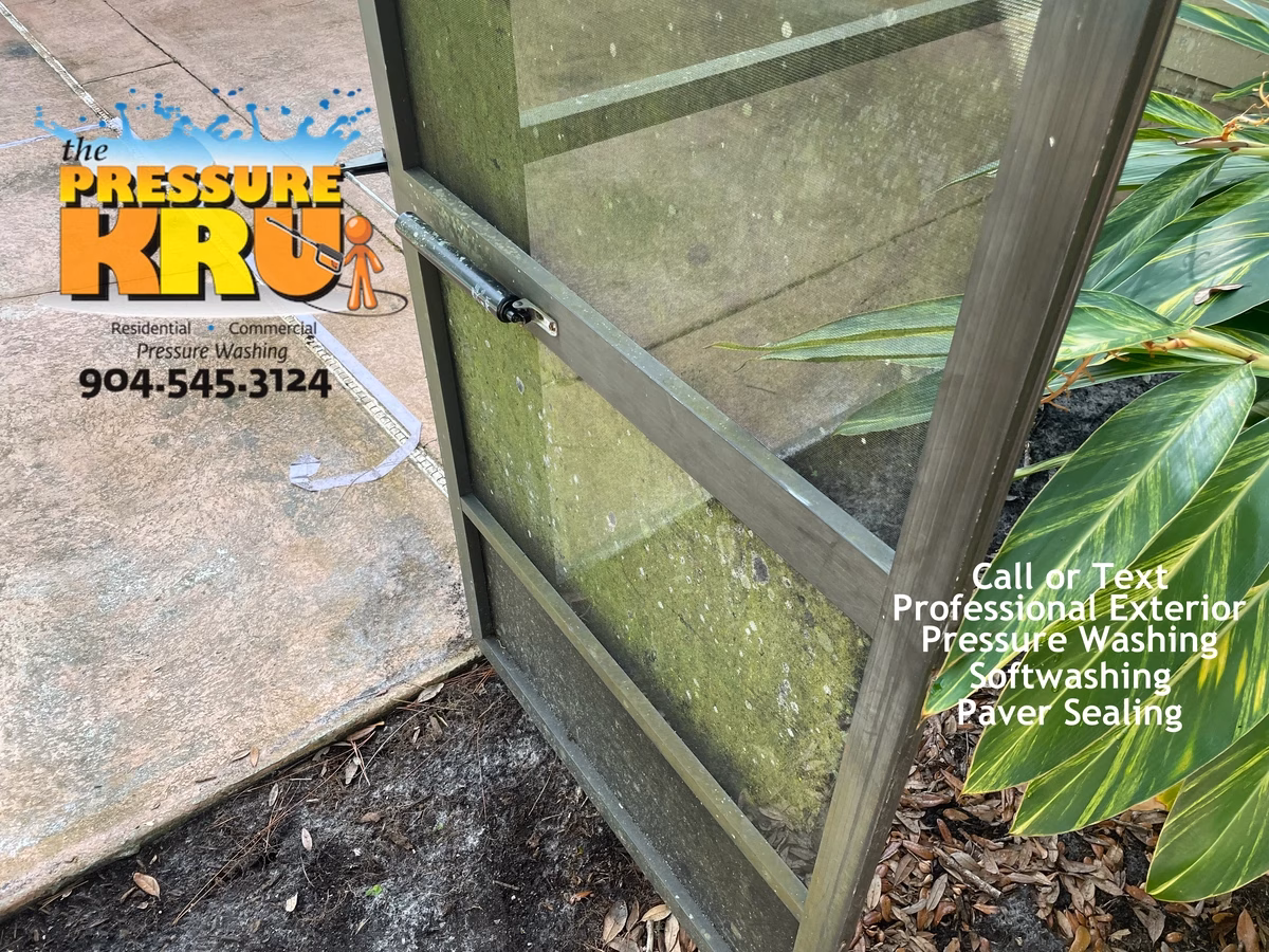 Screened Pool Enclosure before professional exterior cleaning in Jacksonville, FL.