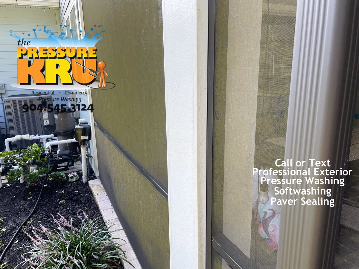 Screen Enclosure before cleaning in St. Johns, FL showing green algae.