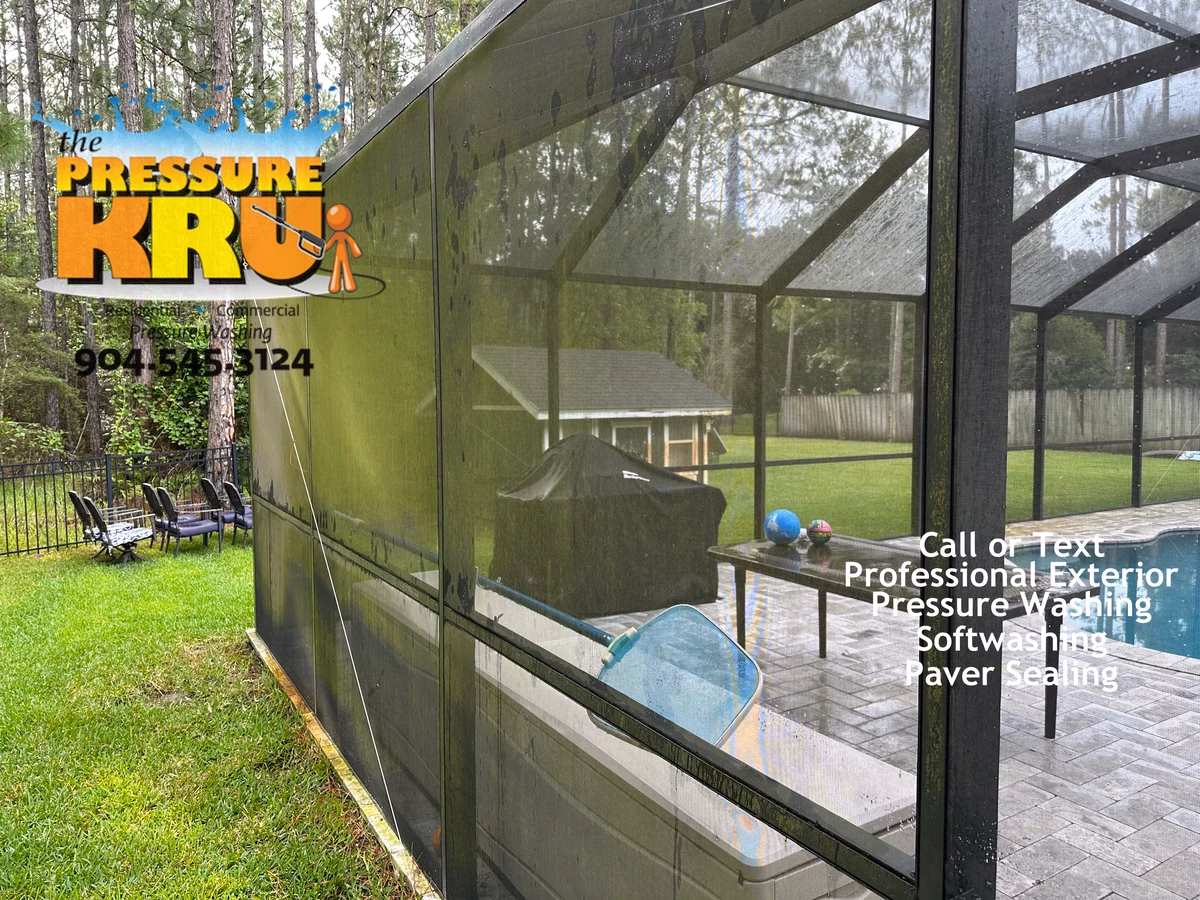 Pool Cage before soft washing in St Johns, FL.