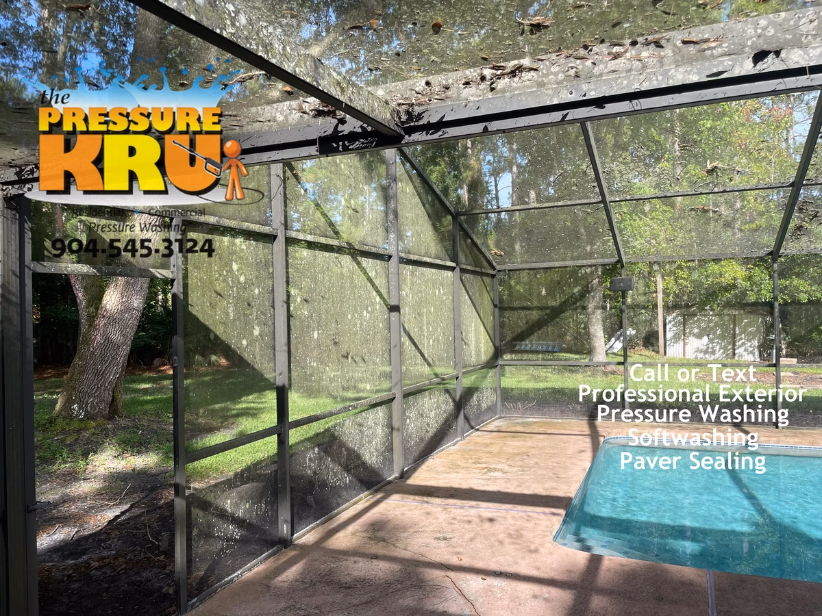 Pool Screen Enclosure before soft washing in St. Johns, FL.