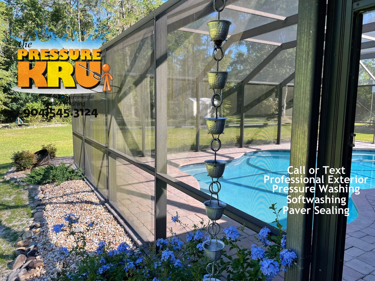 Pool Screen enclosure covered in green algae before soft washing in St Johns, FL.