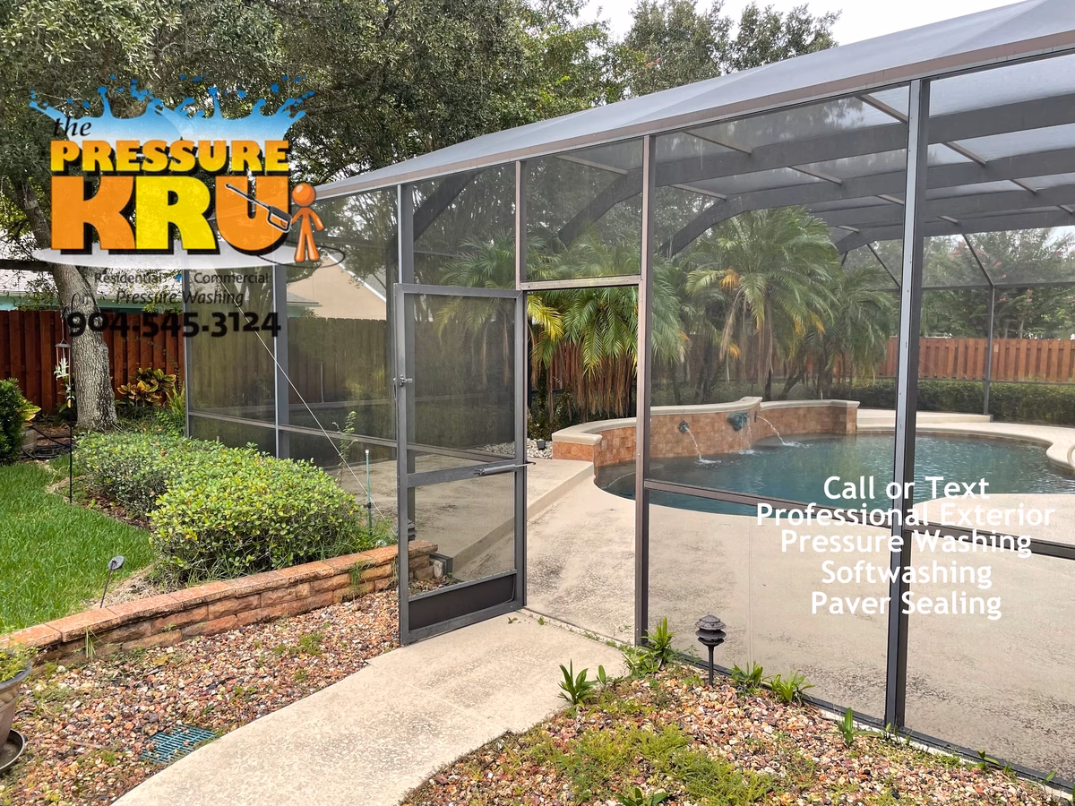 Before professionally soft washing a pool screen enclosure in Saint Johns, FL.