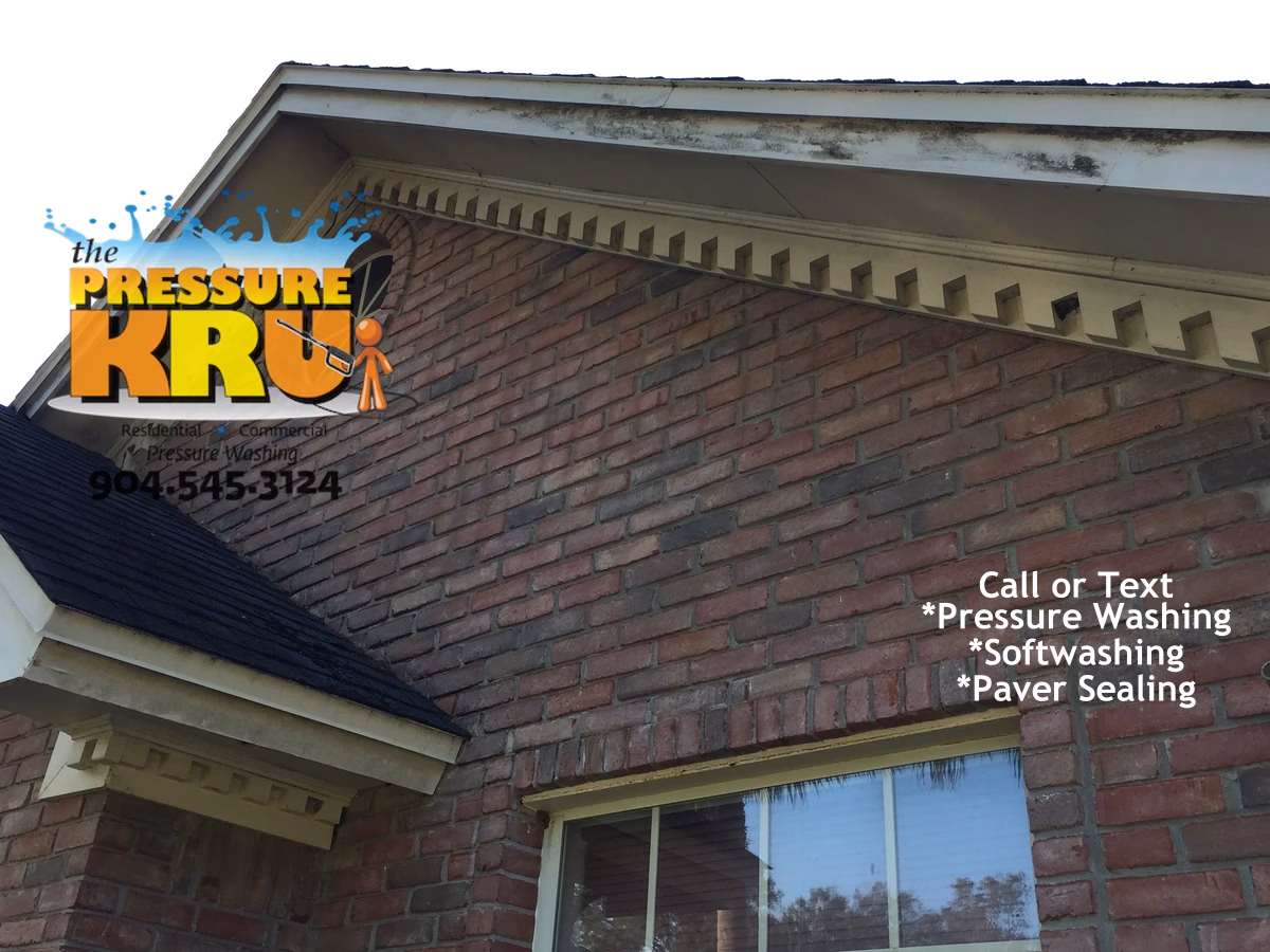 Brick house professional soft washing before arriving at home in Jacksonville FL