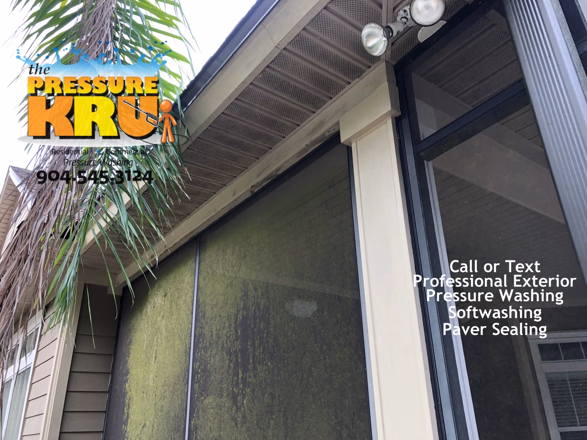 Before Professionally soft washed screen enclosure in St. Johns, FL.