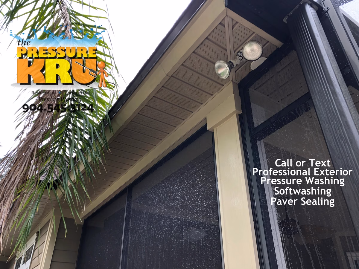after Professionally soft washed screen enclosure in St. Johns, FL.