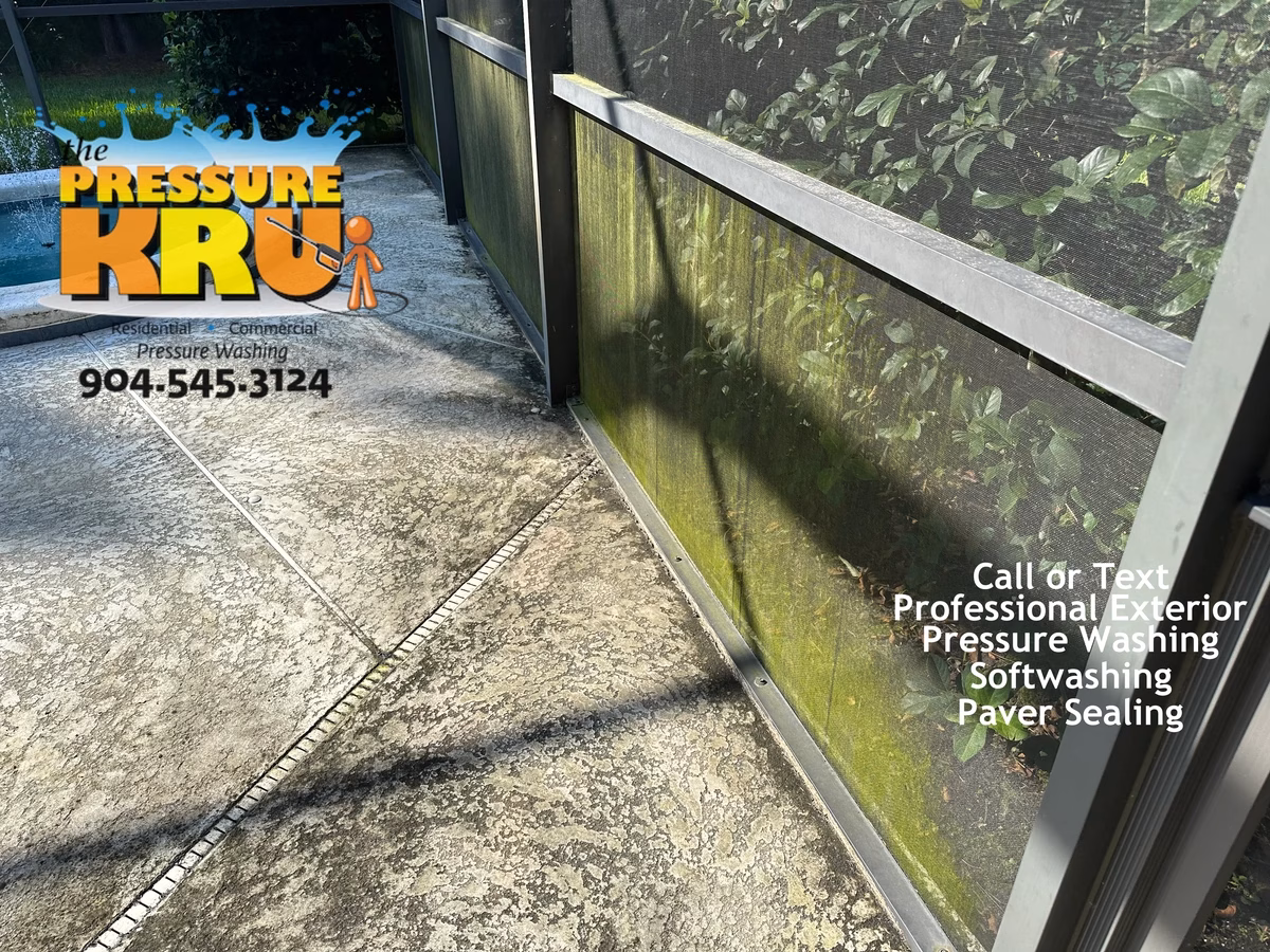Pool Screen Enclosure before green algae removal in Jacksonville, FL
