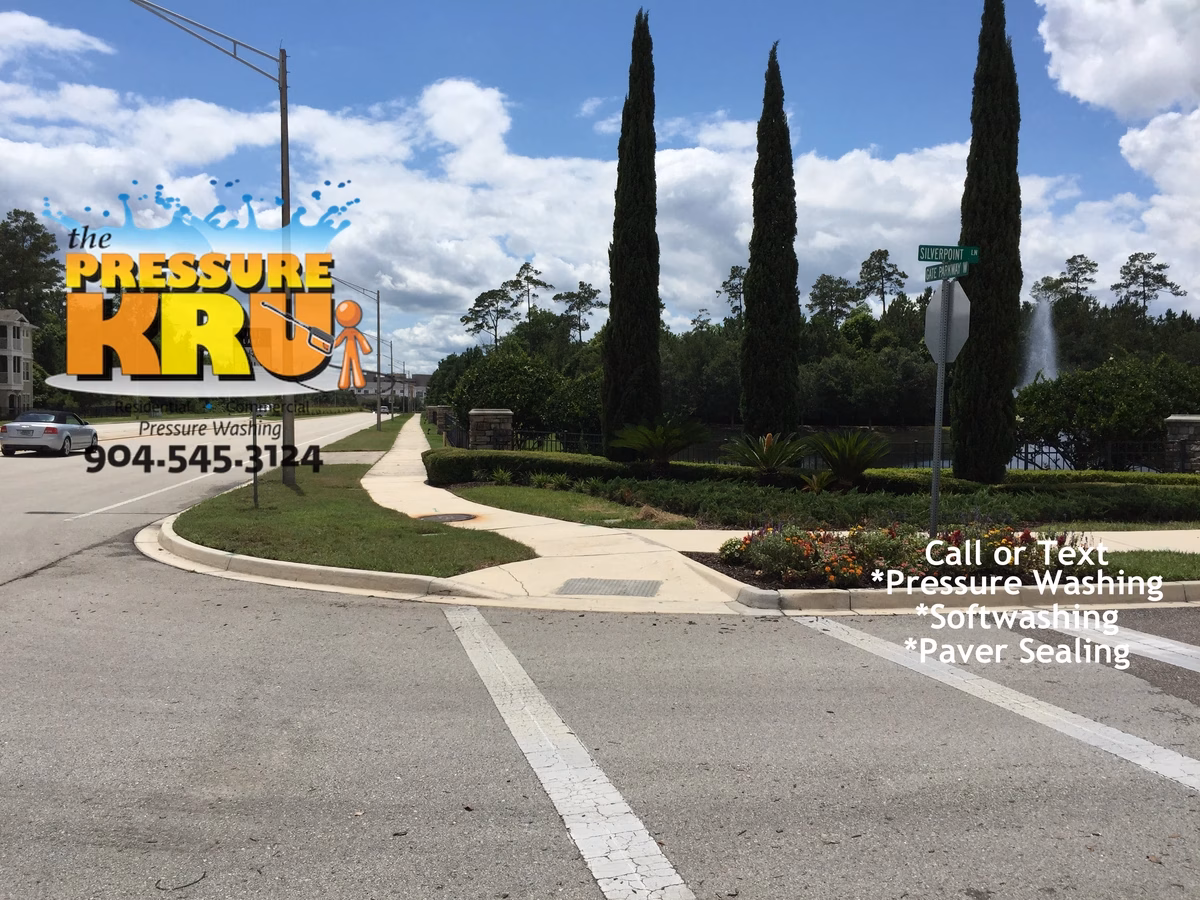 Curb organic stain removal for HOA in Oxford Estates after
