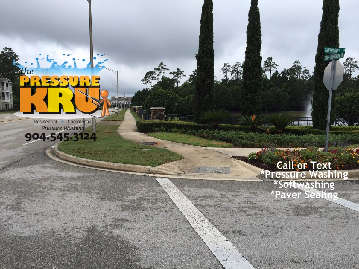 Curb organic stain removal for HOA in Oxford Estates before