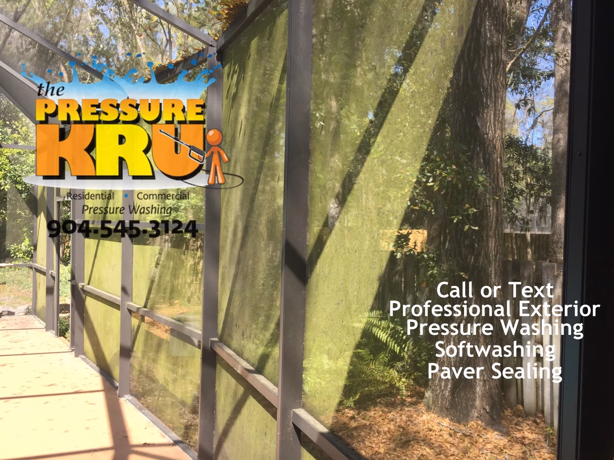 Screen enclosure before cleaning in Fruit Cove, FL.
