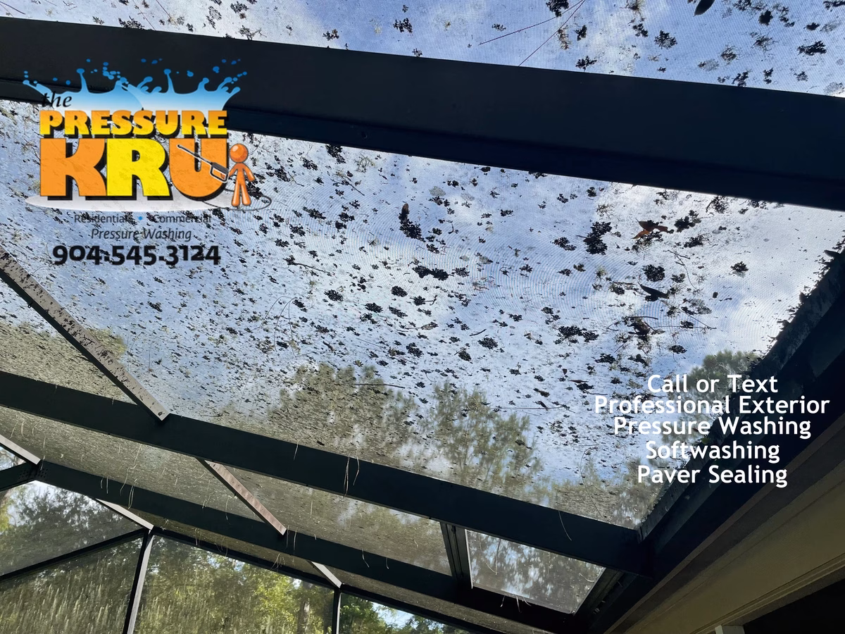 Pool Screen enclosure before soft washing in St. Johns, FL showing green algae and lichens.