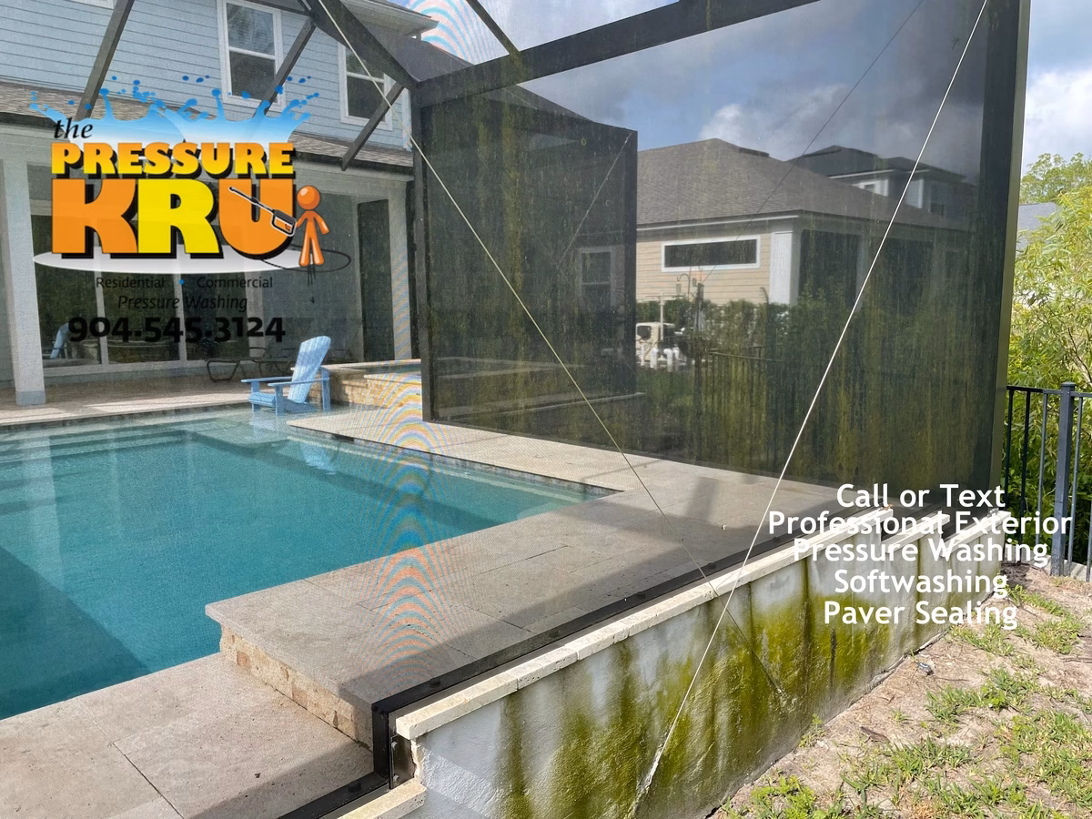 Green Algae covered pool screen enclosure before professional soft washing in St. Johns, FL