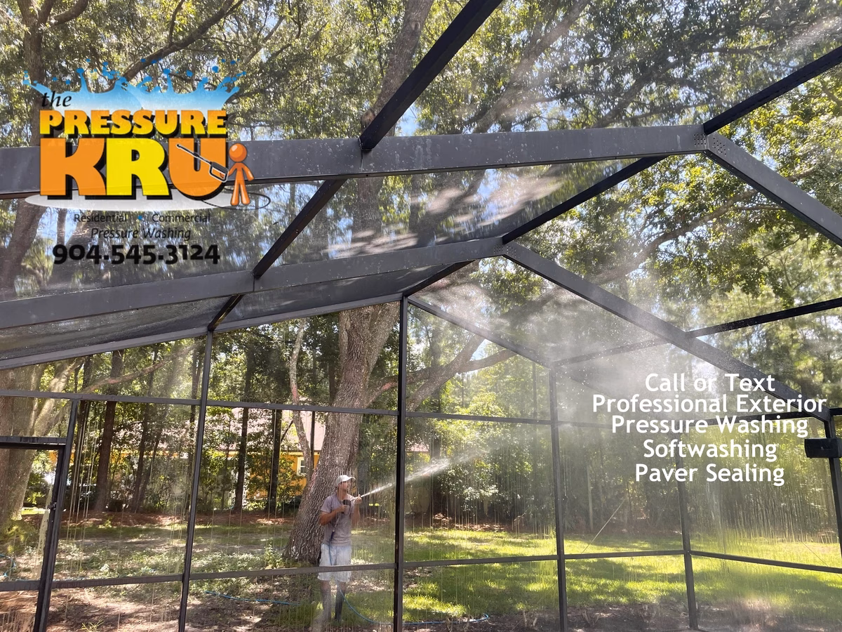 Screen enclosure after low-pressure soft washing in Jacksonville, FL with heavy mold, algae, and lichens removed.