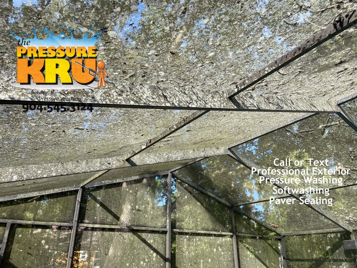 Screen enclosure before low-pressure soft washing in Jacksonville, FL with heavy mold, algae, and lichen accumulation.