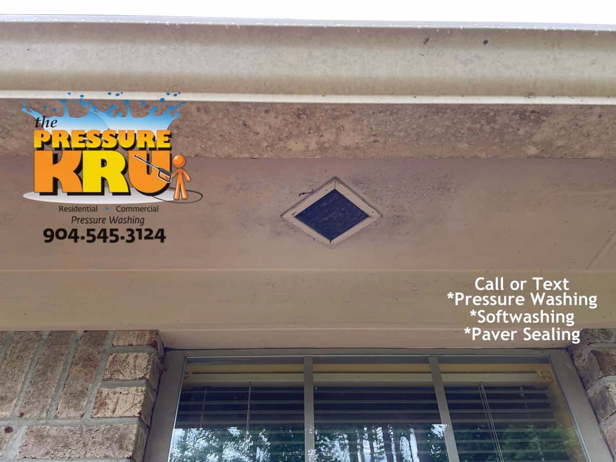 Brick exterior soft washing service before removing mold and mildew for home in Jacksonville FL