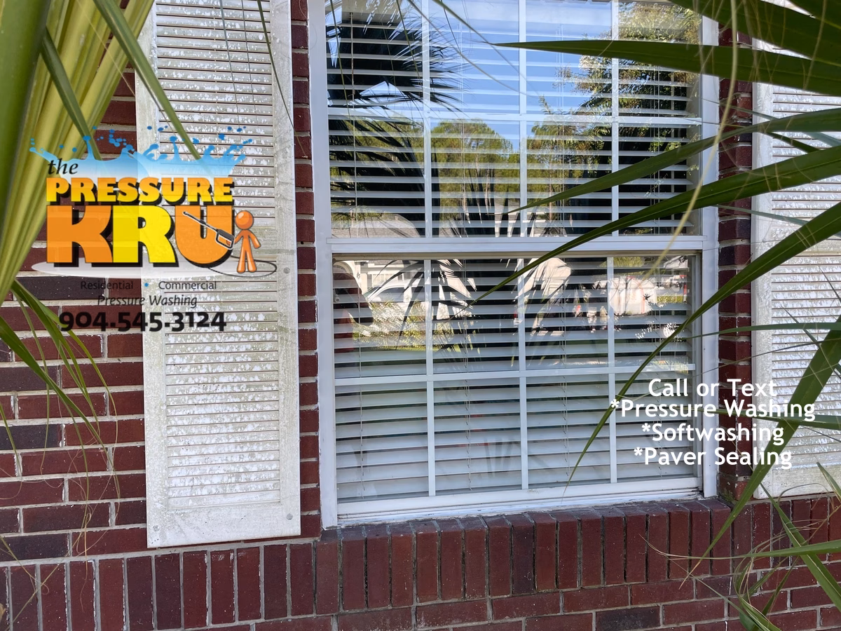 Brick house soft washing removing black algae from exterior walls in Jacksonville FL before