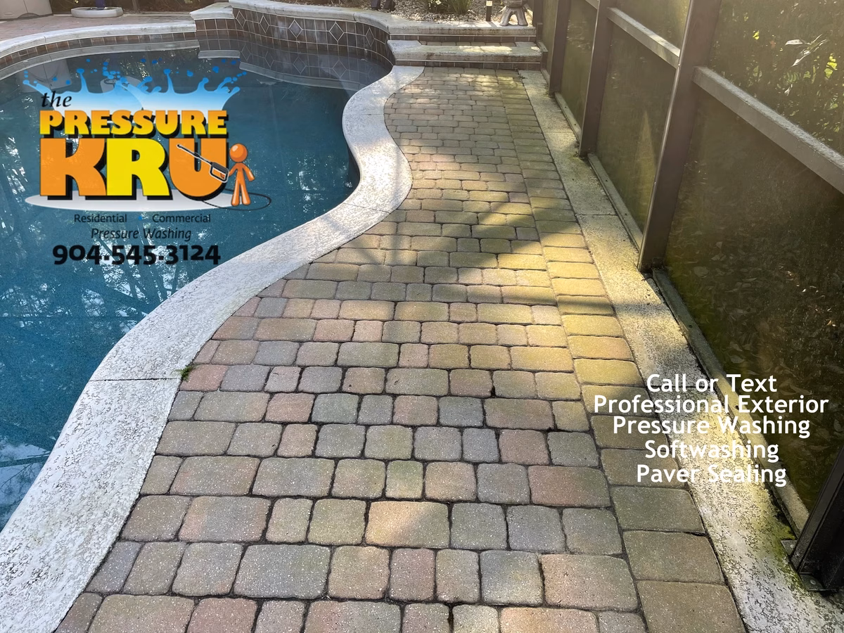 Screen enclosure before soft washing in Ponte Vedra, FL with heavy algae, mold, and mildew buildup on pool cage screens.