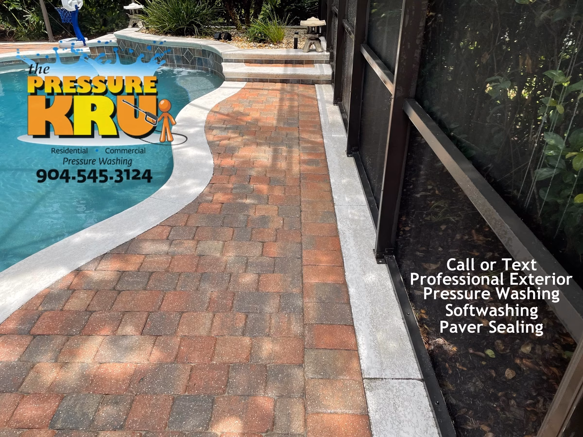 Clean screen enclosure after professional soft washing in Ponte Vedra, FL with bright, restored pool cage screens.