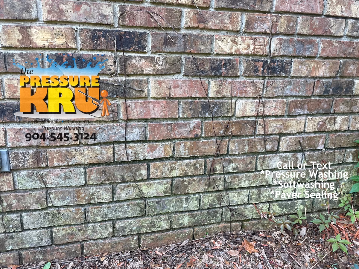 Before brick exterior cleaning at a home in St. Johns FL showing heavy mold and algae