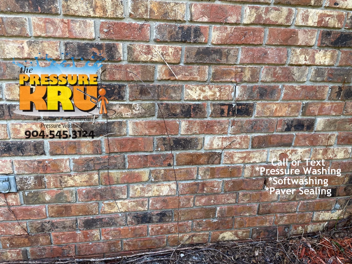 After brick exterior cleaning at a home in St. Johns FL showing heavy mold and algae