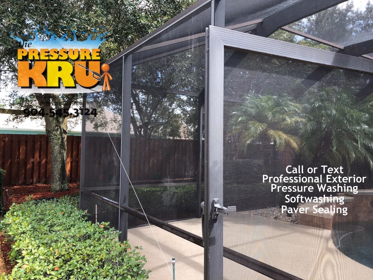 Screen enclosure after soft washing in St. Johns, FL showcasing a clean, bright pool enclosure and restored curb appeal.