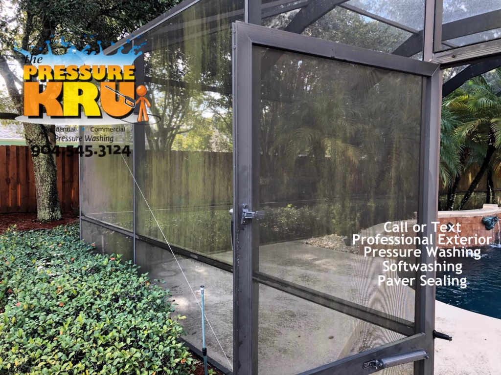 Screen enclosure before professional soft washing in St. Johns, FL with mold, mildew, algae, and dirt buildup