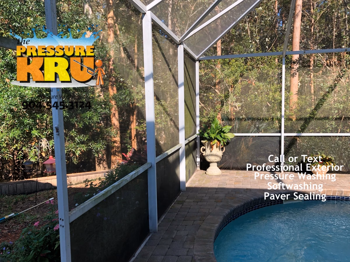 Screen enclosure before soft washing in Palencia with accumulated dirt, algae, and mildew growth.