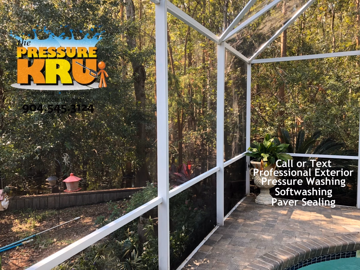 Restored screen enclosure after soft washing in Palencia with clean aluminum and crystal-clear screens.