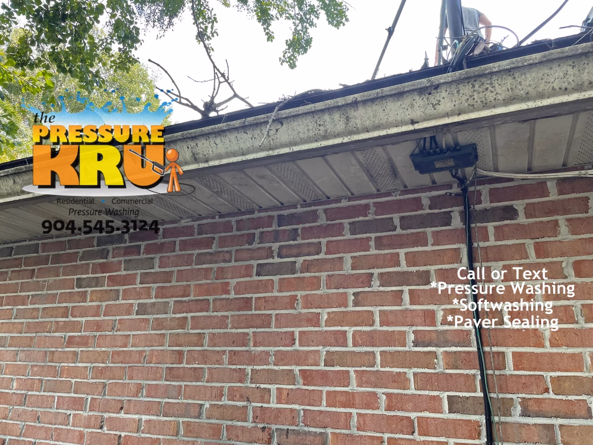 Soft washing brick exterior to remove mold and mildew in St Johns FL before