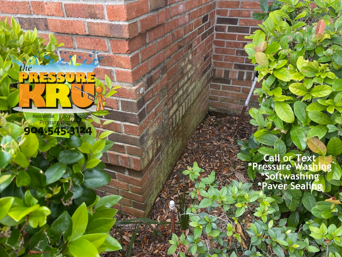 Clean brick home before algae removal in St. Johns FL.