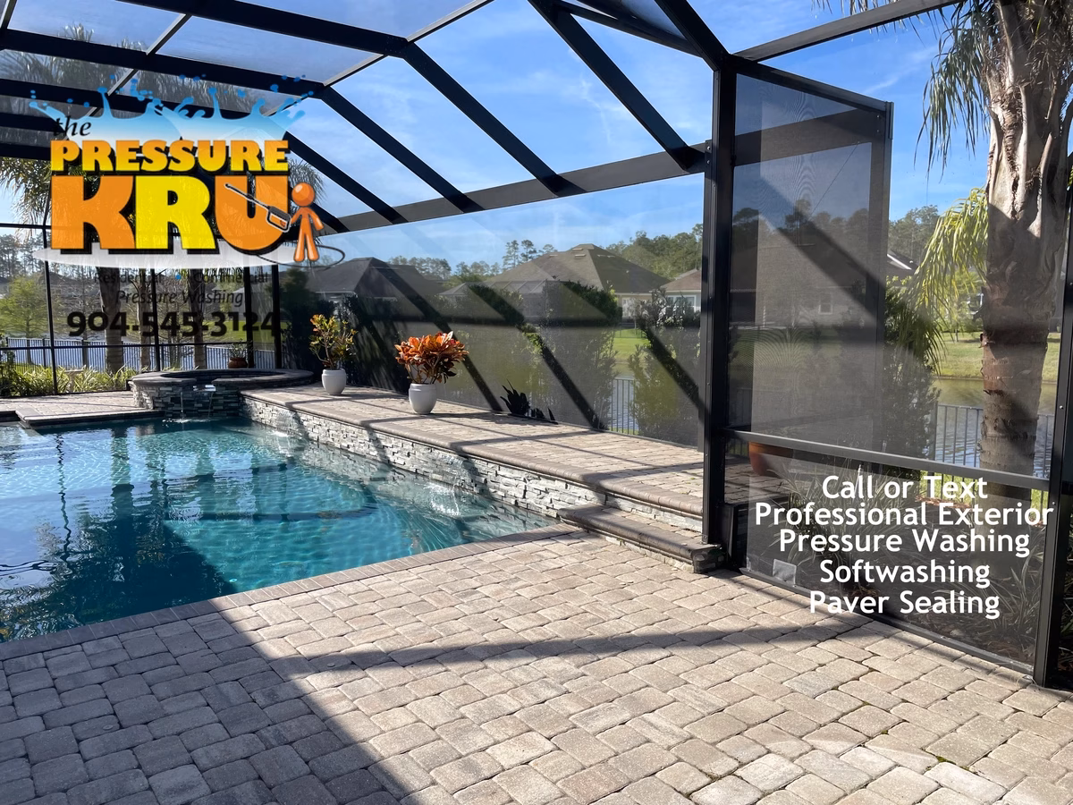 Pool Cage before Cleaning St. Johns, FL with organic standing and green algae on enclosure screens.