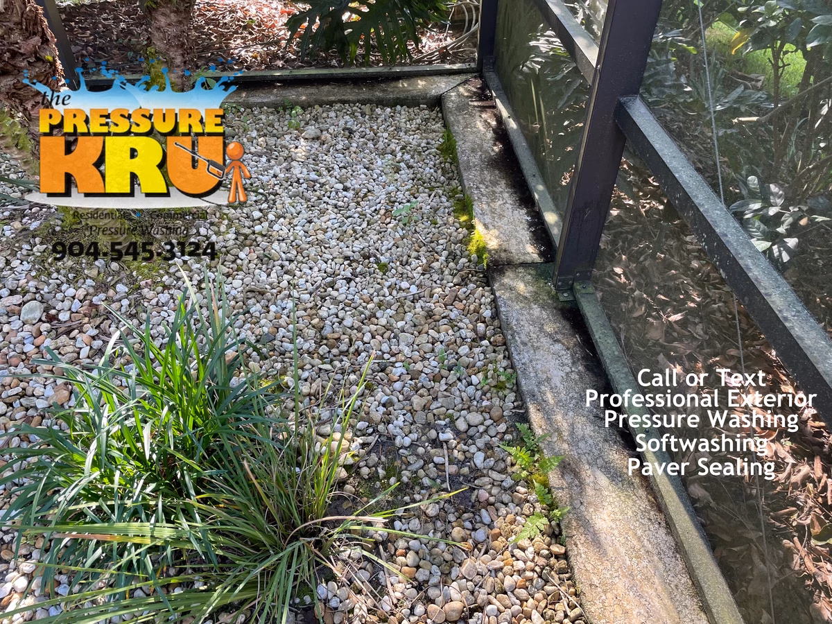 Pool enclosure before exterior cleaning in Ponte Vedra, FL with green algae and mildew staining.