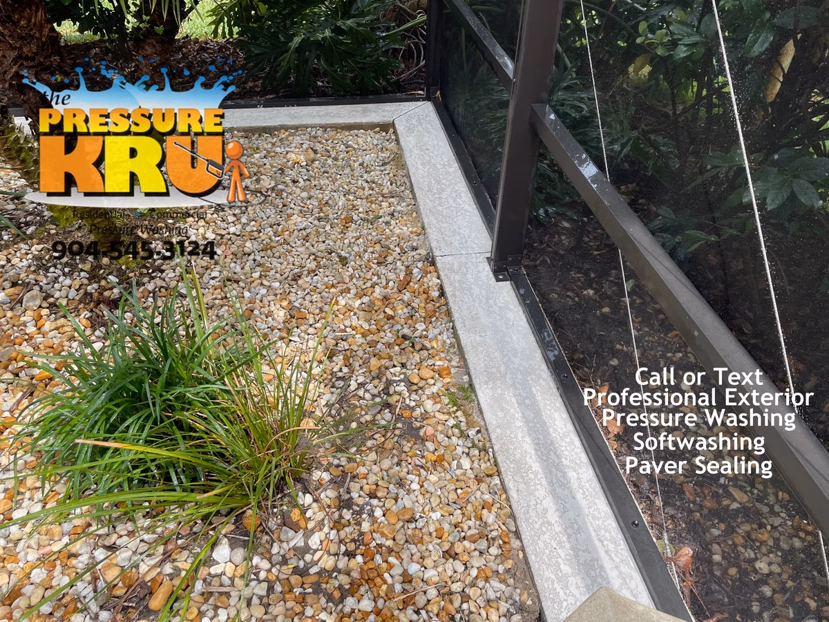 Pool enclosure after exterior cleaning in Ponte Vedra, FL with with restored curb appeal and clean screen panels.