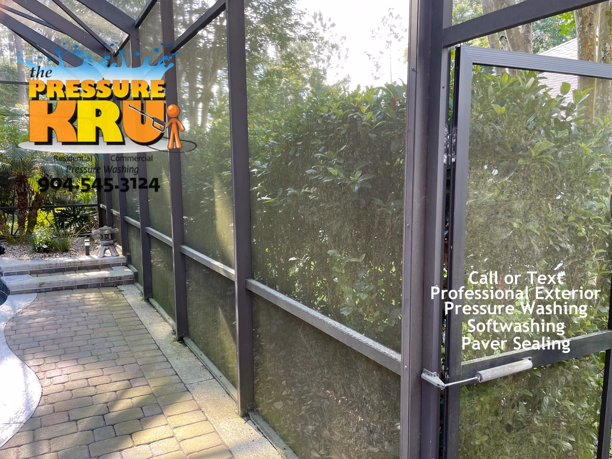 Pool Screen enclosure before exterior cleaning in Ponte Vedra, FL with green algae and black mildew staining.