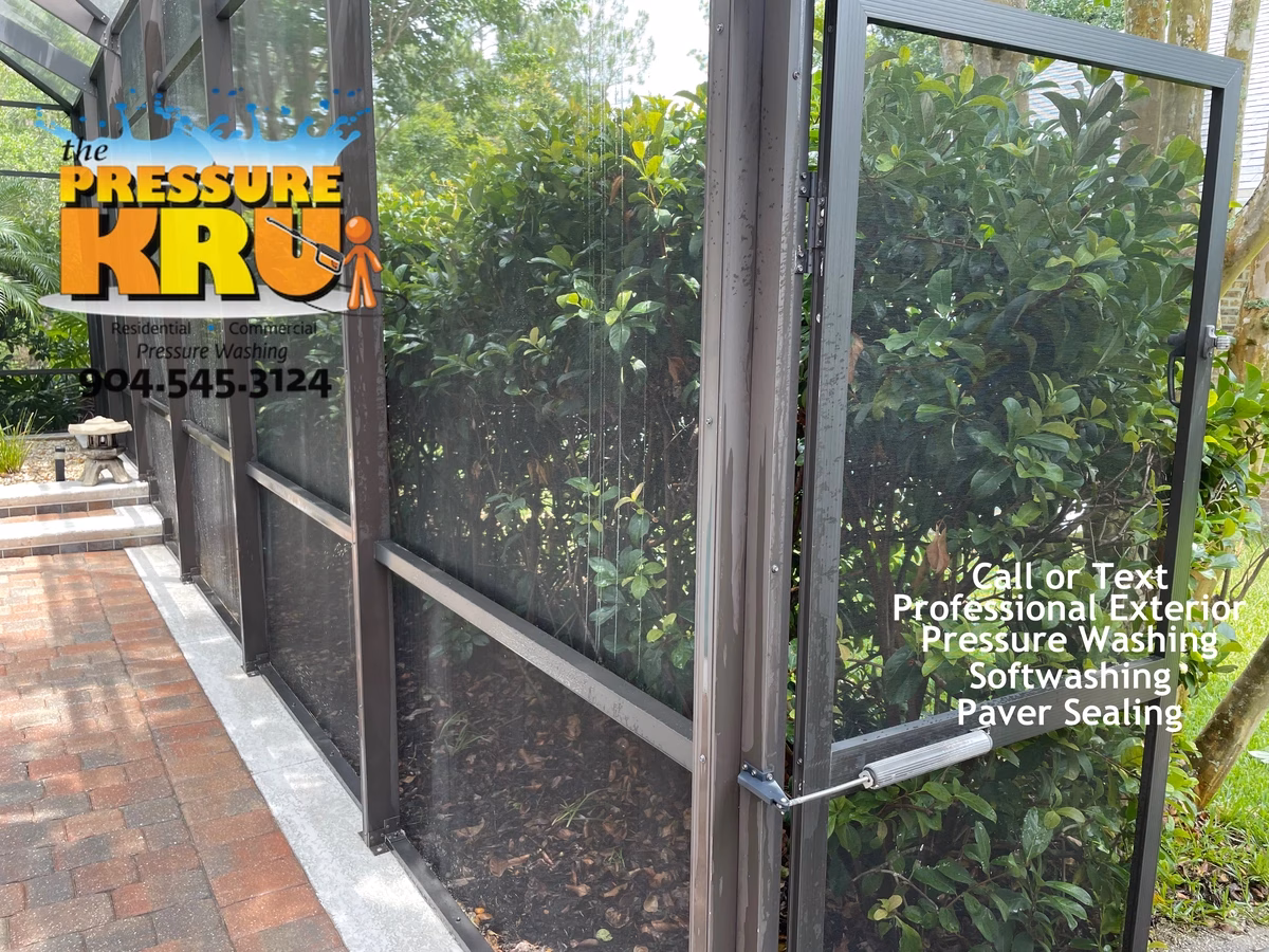 Pool Screen enclosure after exterior cleaning in Ponte Vedra, FL with green algae and black mildew staining completely removed.