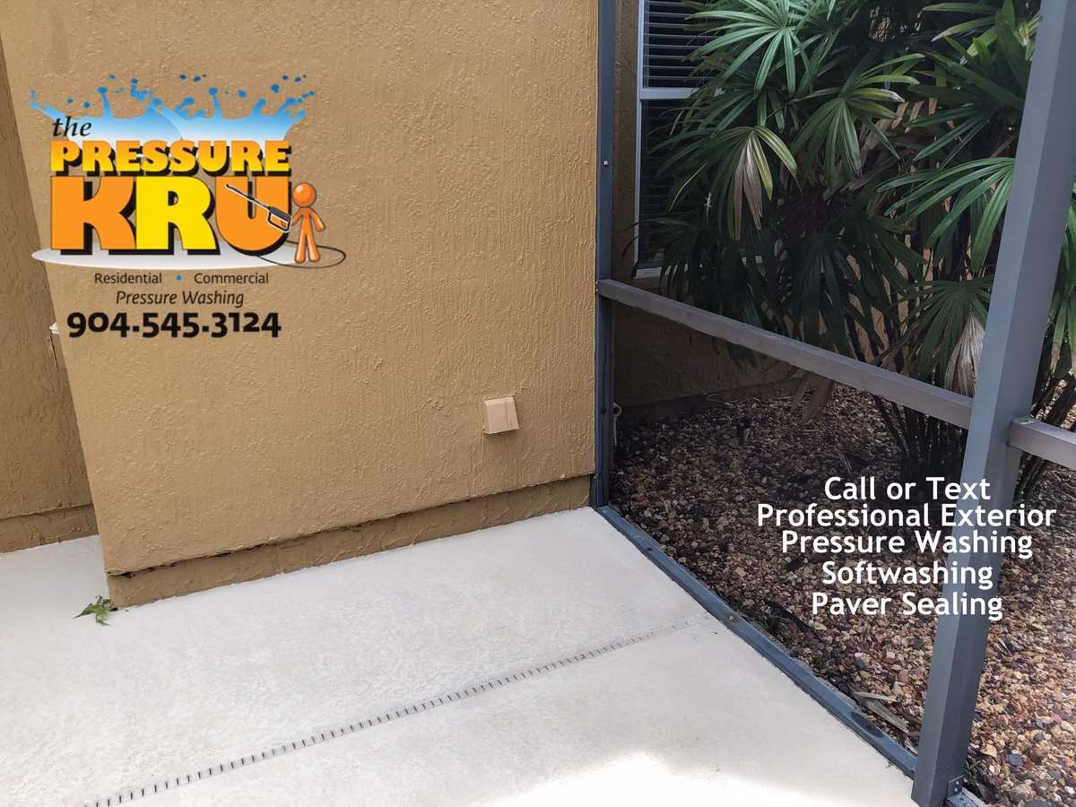 Screen enclosure after professional soft washing in Ponte Vedra, Fl with clean screens and refreshed aluminum.