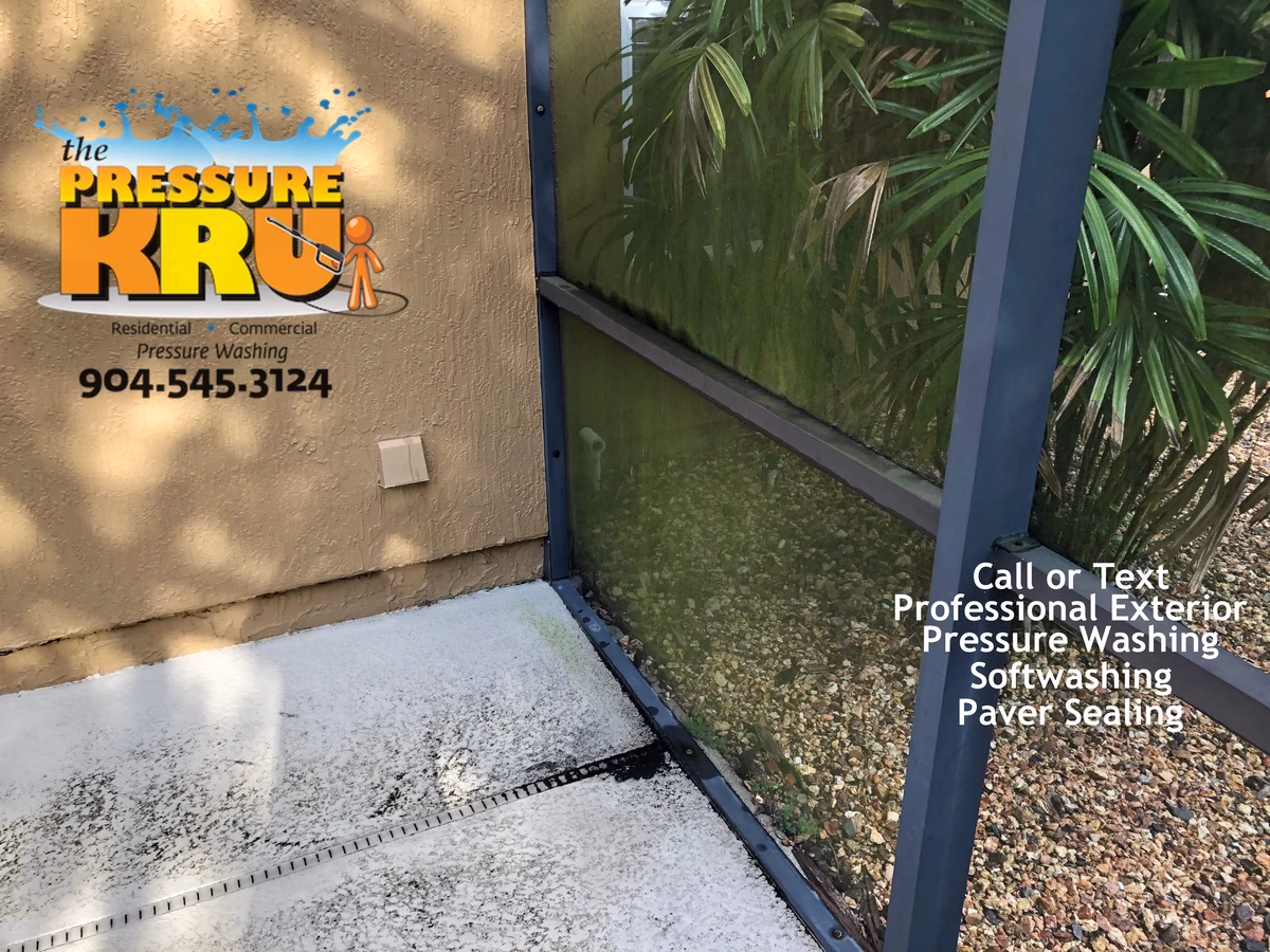 Screen enclosure before soft washing in Ponte Vedra, FL with dirty screen, algae, and mildew on framing.