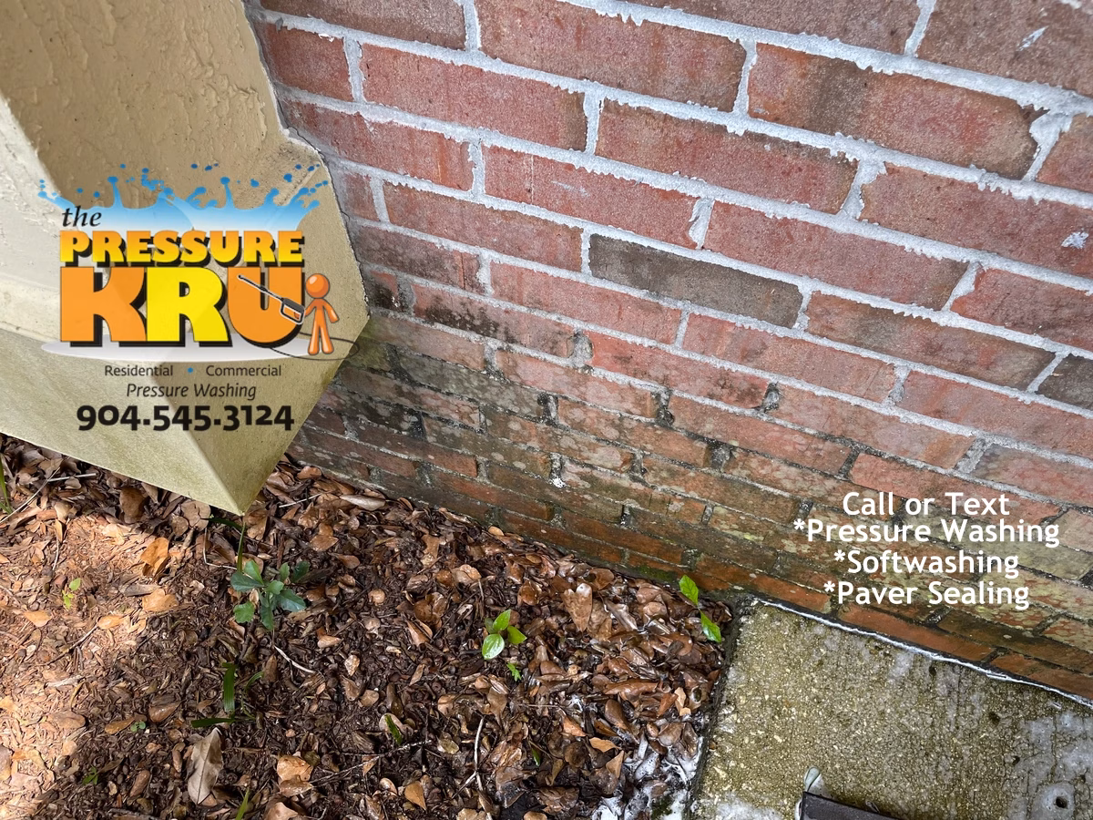 Brick exterior before professional soft wash cleaning a home in Julington Creek Plantation st johns fl