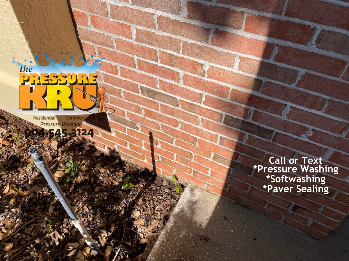 Brick exterior after professional soft wash cleaning a home in Julington Creek Plantation st johns fl