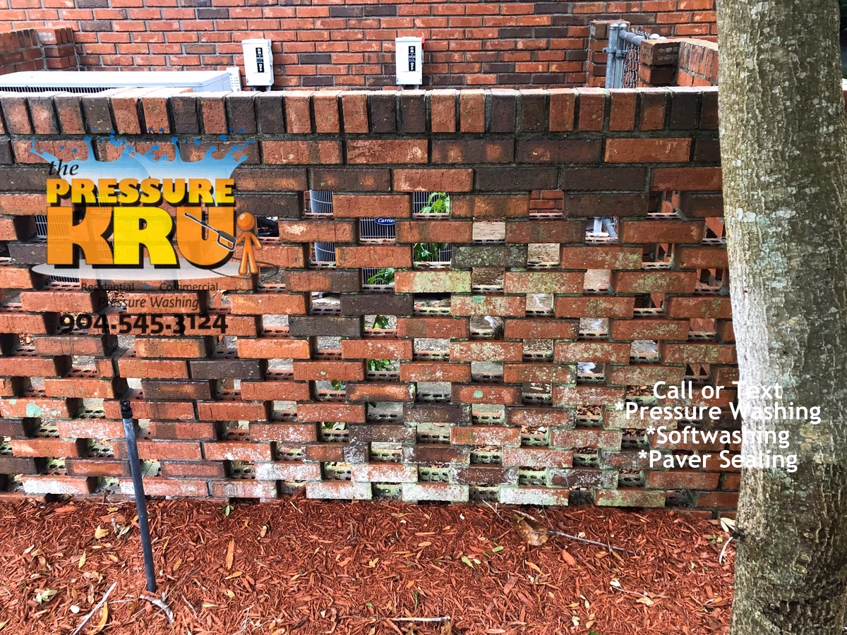 Brick home soft washing service before removing green algae and mold in St. Johns Florida.
