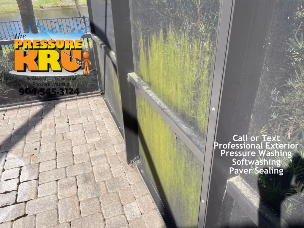 Screen Enclosure before soft washing in St. Johns, FL.