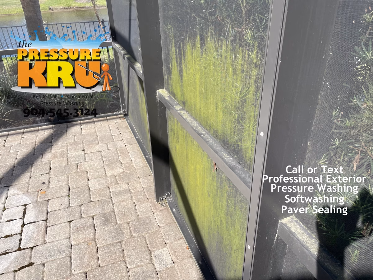 Screen Enclosure before soft washing in St. Johns, FL.