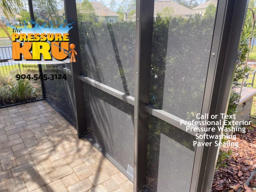 Screen Enclosure after soft washing in St. Johns, FL.